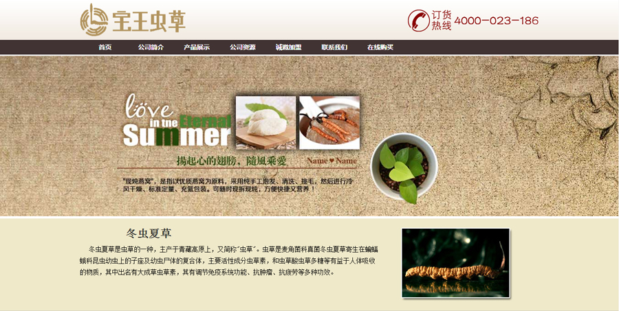 南京网站建设客户案例-保健品销售网站案例 