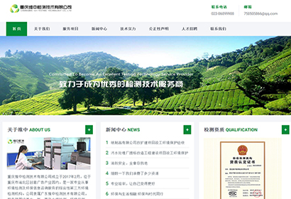 重庆维中检测响应式网站制作案例 